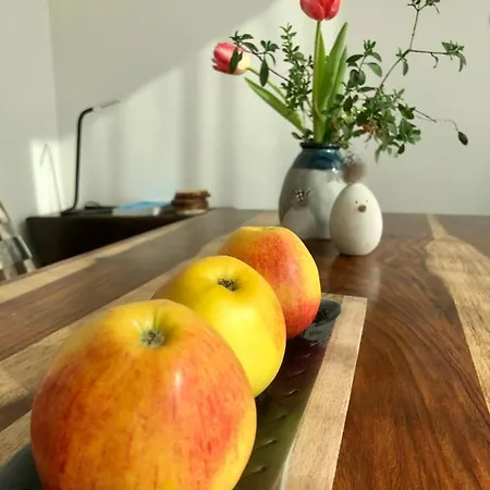 بيت للعطل Tiny House In Rummelsburg *