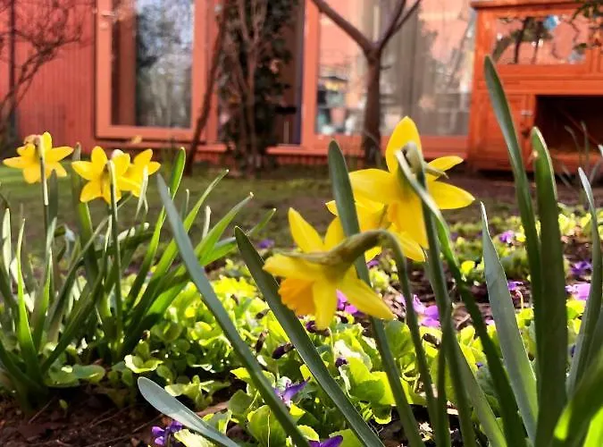 Tiny House In Rummelsburg * Berlijn
