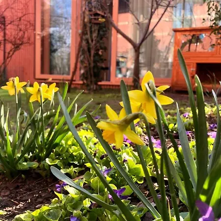 Tiny House In Rummelsburg * Berlín